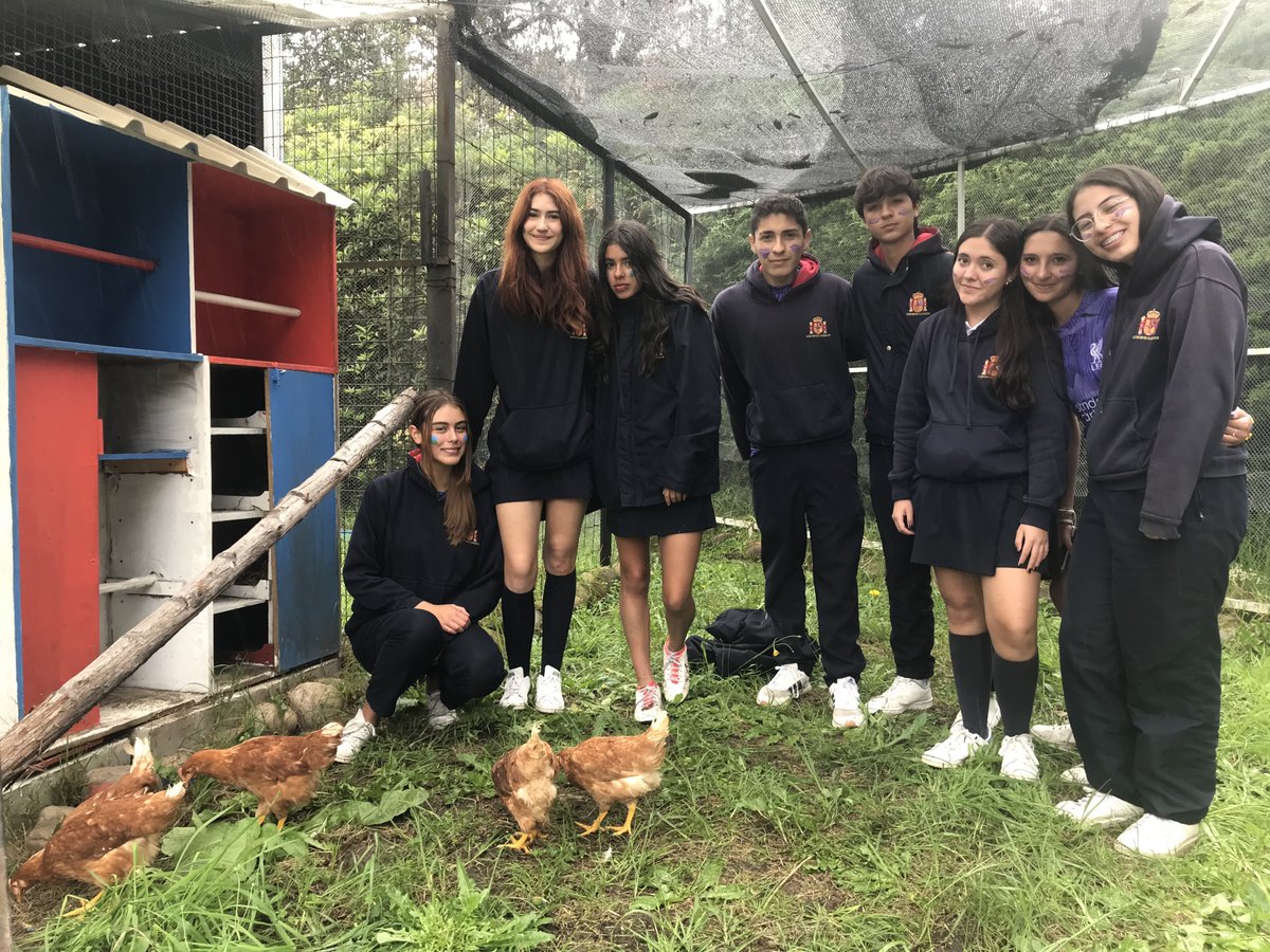 CCEERRCC's tweet photo. Descubre el Proyecto de tres alumnas, Isabella, Filippa y María José, quienes desde el curso pasado (2° ESO) trabajaron en el diseño y adecuación del gallinero del Reyes hasta hacerlo una realidad 🐔​🐓​

Última entrada en la Revista Reyes https://t.co/0zP9aTKVUL
@AccEducativaExt https://t.co/ifw2eqKOIK