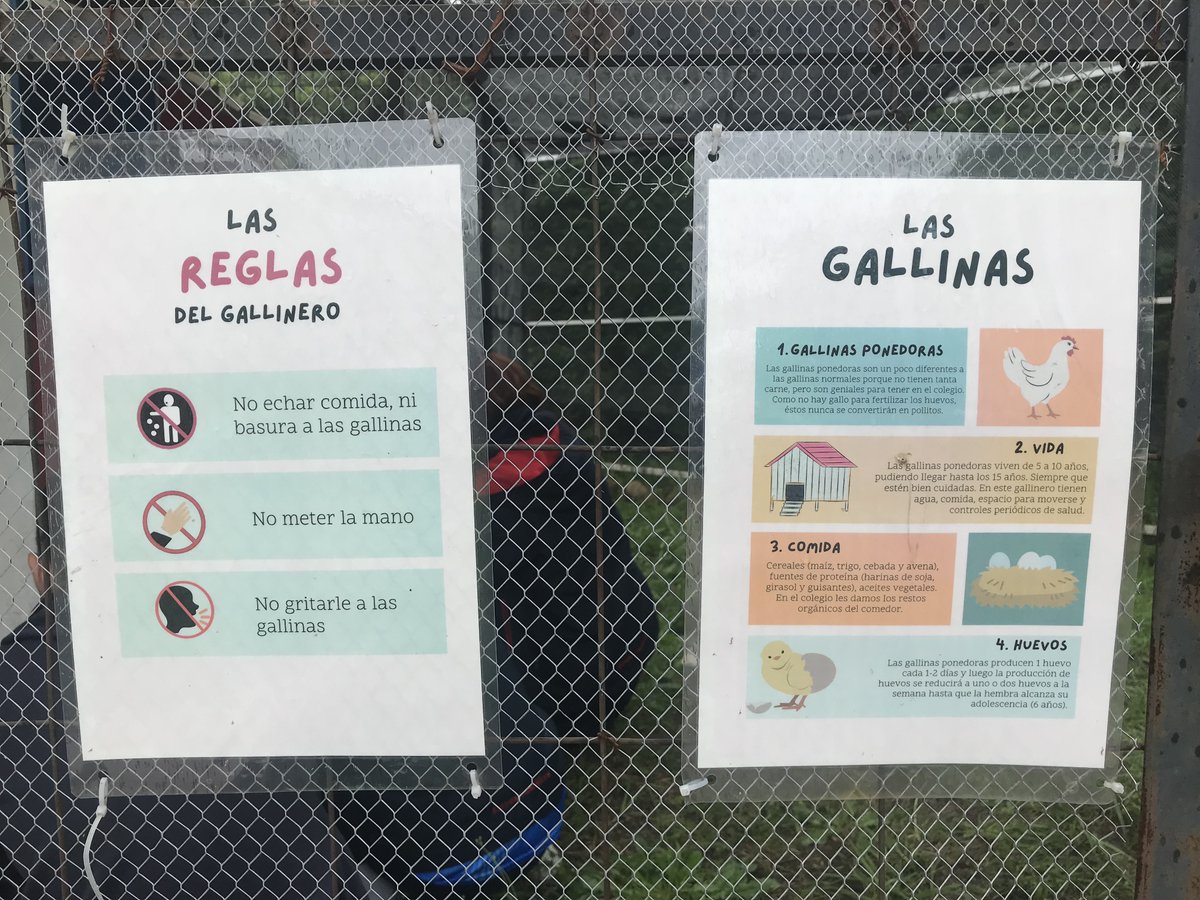 CCEERRCC's tweet photo. Descubre el Proyecto de tres alumnas, Isabella, Filippa y María José, quienes desde el curso pasado (2° ESO) trabajaron en el diseño y adecuación del gallinero del Reyes hasta hacerlo una realidad 🐔​🐓​

Última entrada en la Revista Reyes https://t.co/0zP9aTKVUL
@AccEducativaExt https://t.co/ifw2eqKOIK