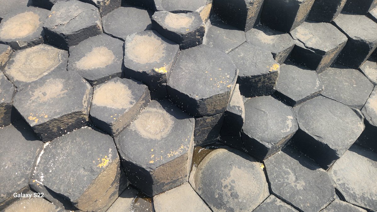 Woody Van Arkel🧢 🇨🇦🌽🐖🚲🌞🍺 tweet media