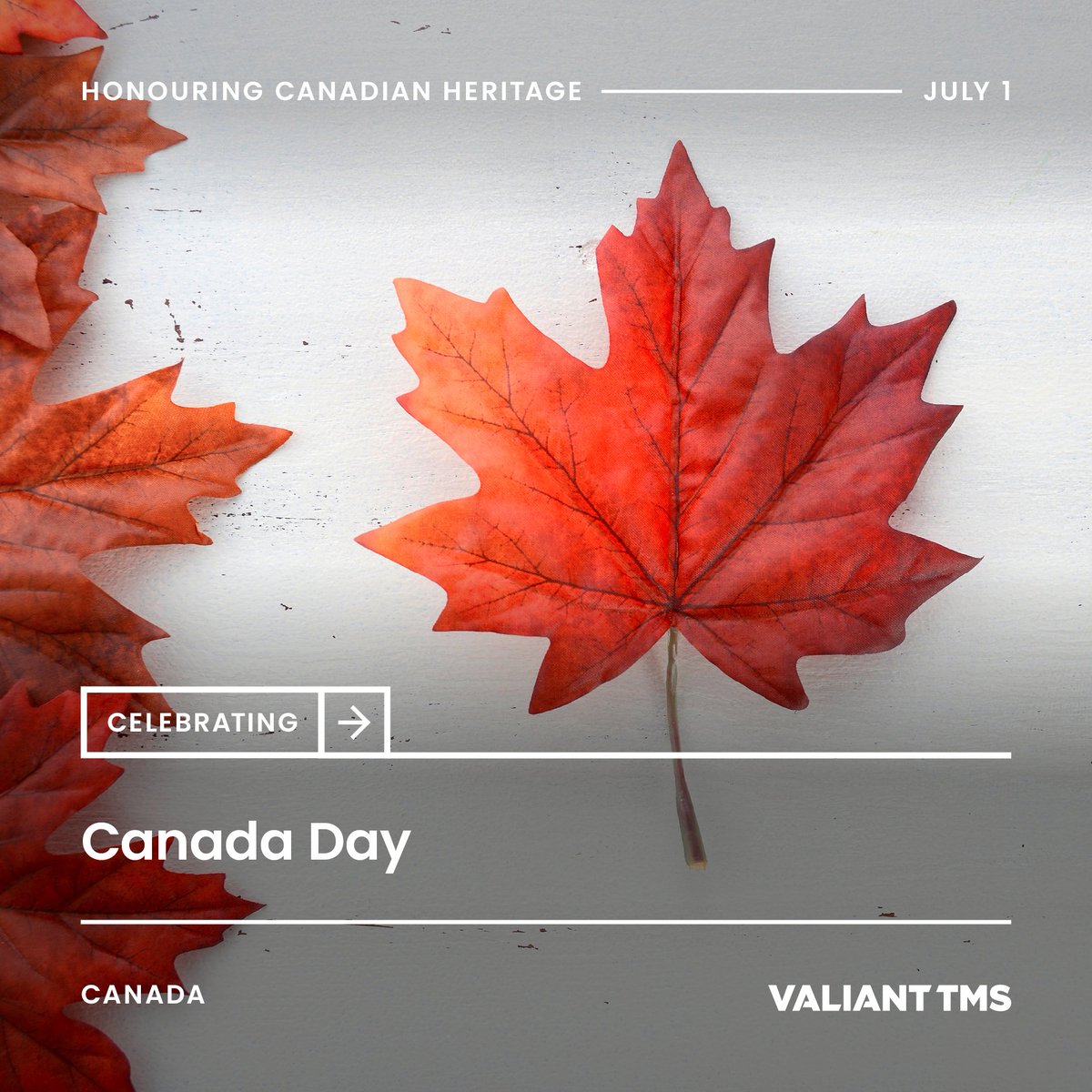 Happy Canada Day long weekend! Whether you’re out in nature, relaxing with family and friends, or enjoying fireworks and good food, we hope you’re making the most of it.

Our Canadian offices and facilities will be closed on Monday, June 30, in observance of the holiday.