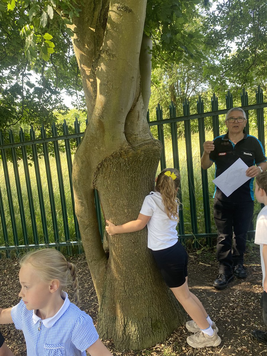 Mr Kinally took Year 1 on a tree walk around the school grounds today as part of their science work. They loved finding out about the different trees and looking at the woodpecker nest.