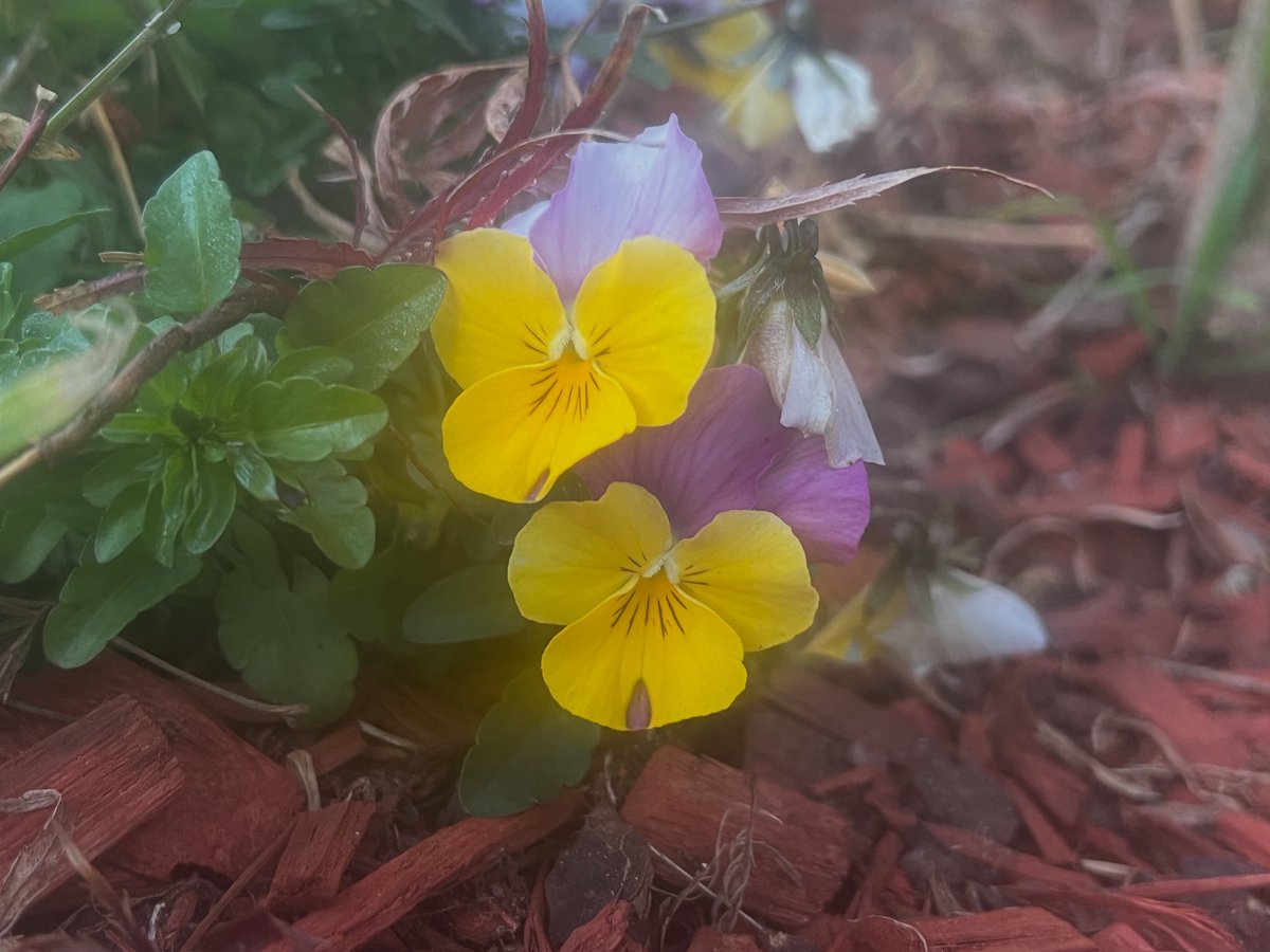 Happy Friday #bloomscrolling