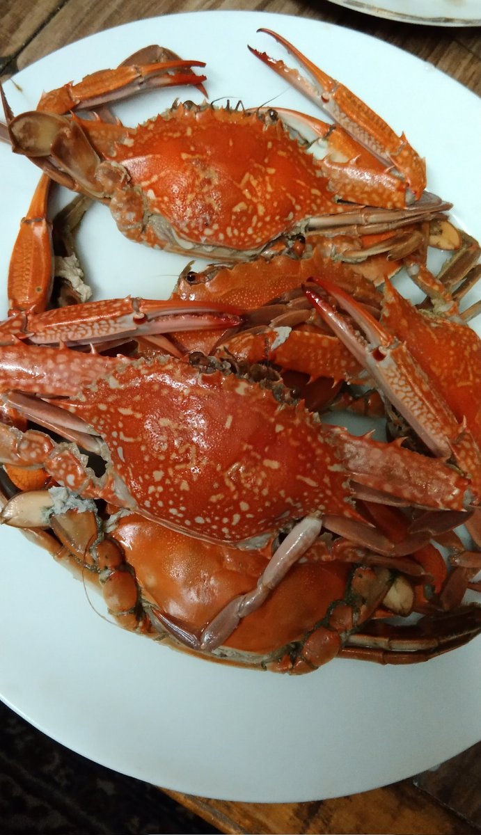 مابدهاش بقي مش الماتش اللى هايعكنن عليا في الاكل 🙂
تعالوا اتفضلوا😅🦀