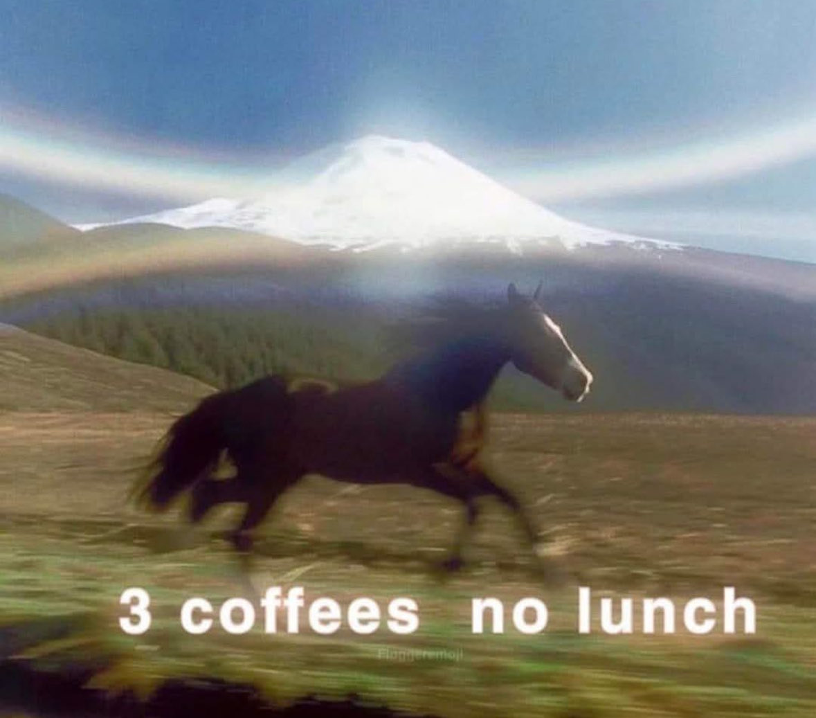 Respectful Memes (@respectfulmemes) on Twitter photo 