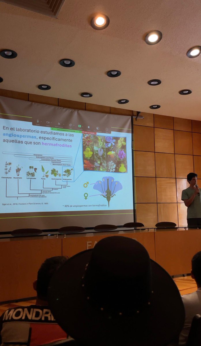 Pistil_Lab's tweet photo. 🌱¿Sabías que algunas plantas rechazan su propio polen?
El 12 y 13 de junio, se realizó el evento Puertas Abiertas en FQ, Conjunto E, donde explicamos la incompatibilidad sexual en plantas con juegos, kits y más. Ven a conocernos en el Lab 104
#UNAM #quimica_unam https://t.co/pz4W5XgxO3