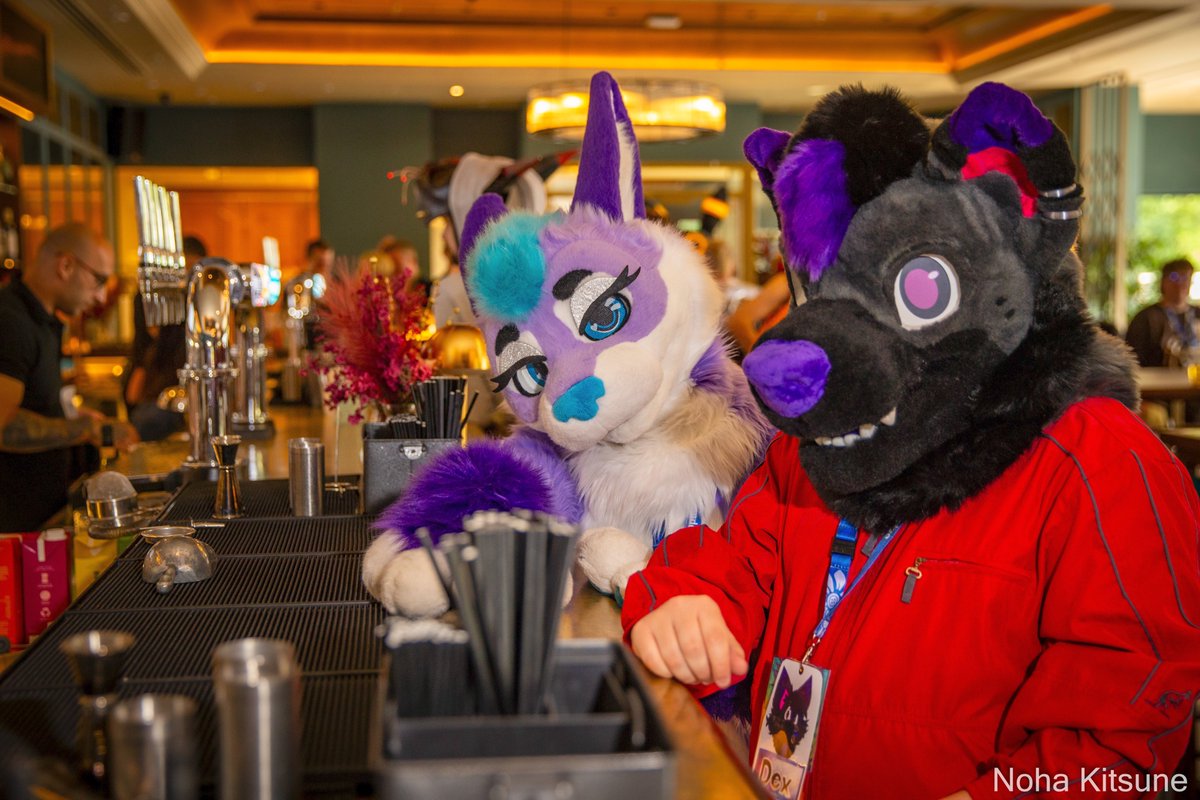 Friday booked shoots are now out! (roaming shots will be released all together with the CFZ crew release)
flickr.com/photos/1156451…