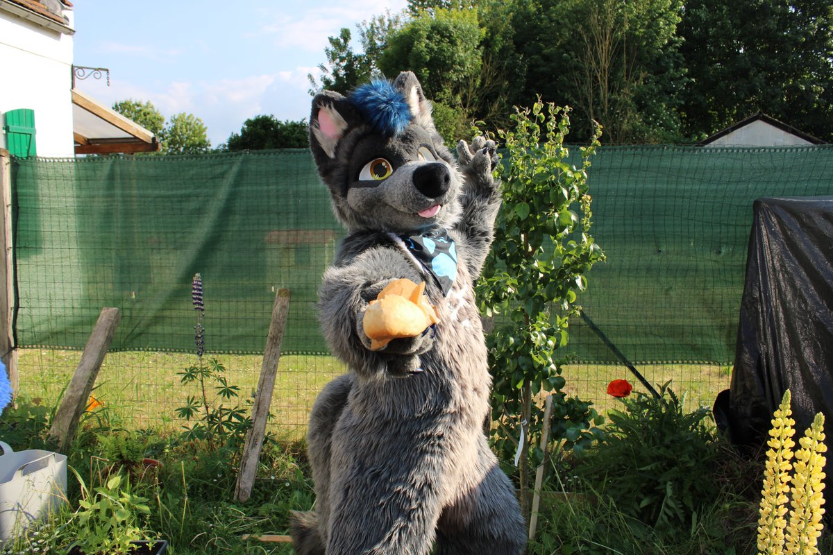 Szürky Farkas @NFC (@szurkywolf) on Twitter photo On your guard, you boor, I'm going to teach you the art of baguette fighting !!!
📸 <a href="/Andrew_fox62/">Andrew Fox 🔜 NFC, FWH</a>
#Fursuiter #Fursuit #Furry
In the next few days, I have a nice surprise in store for you, but I won't tell you any more. 😊 On your guard, you boor, I'm going to teach you the art of baguette fighting !!!
📸 <a href="/Andrew_fox62/">Andrew Fox 🔜 NFC, FWH</a>
#Fursuiter #Fursuit #Furry
In the next few days, I have a nice surprise in store for you, but I won't tell you any more. 😊