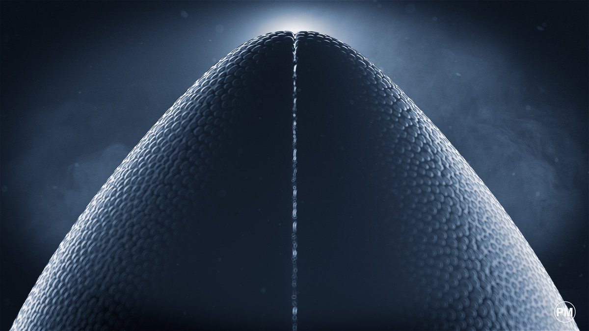 murteirap's tweet photo. Fun design explorations done for the @49ers
#art #visualart #design #cinema4d #3d #3dart #3d #styleframe #humanmade #nature #digitalart @maxonredshift @MaxonVFX @GSG3D @Behance @Adobe https://t.co/HpBYx4S8Mt