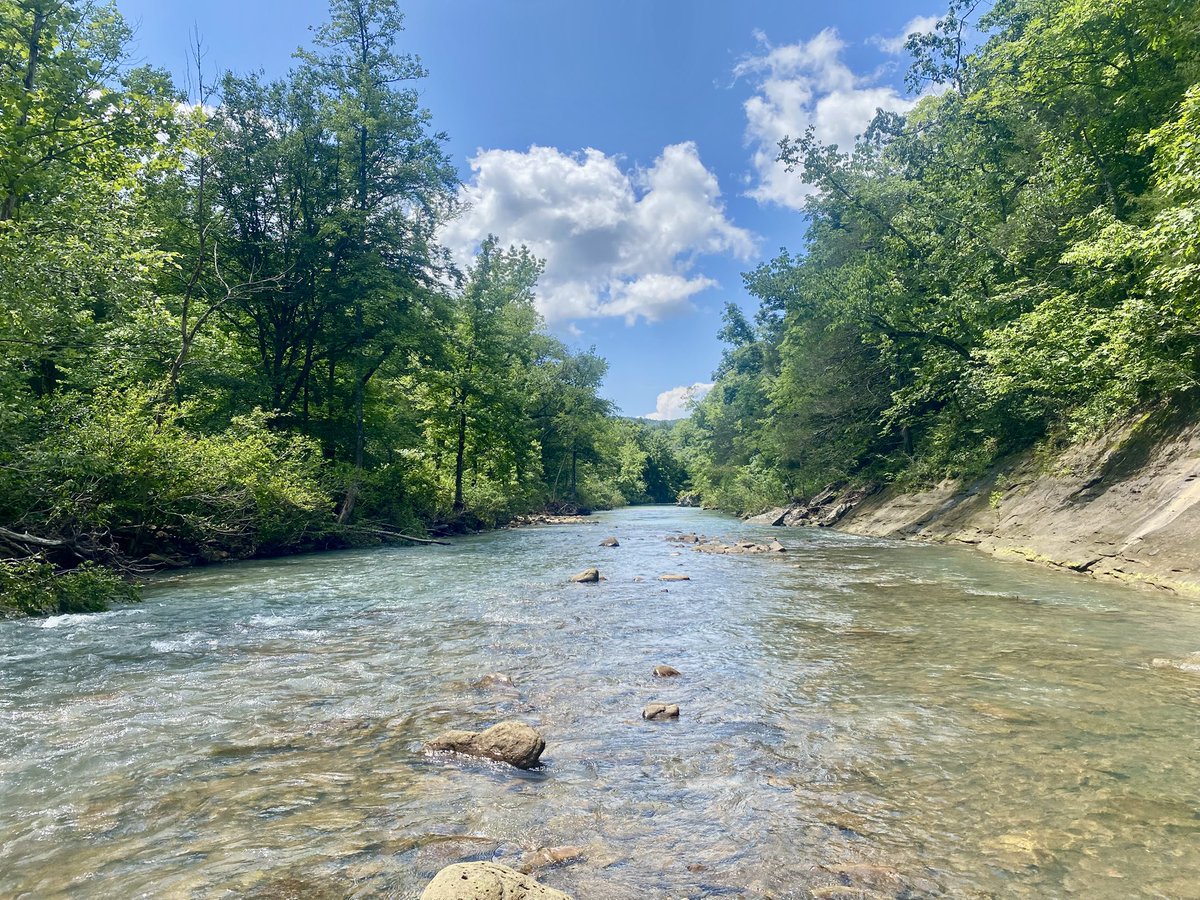 Kyler Hecke tweet media