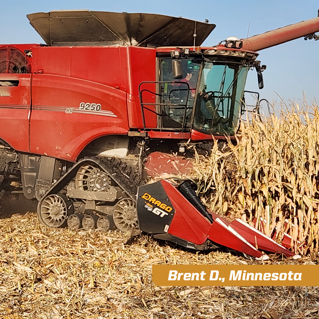 Brent D. of Minnesota will tell you the best time of year is harvest, and the best corn head to bring it home is Drago. Discover the difference at dragotec.com/drago-differen….