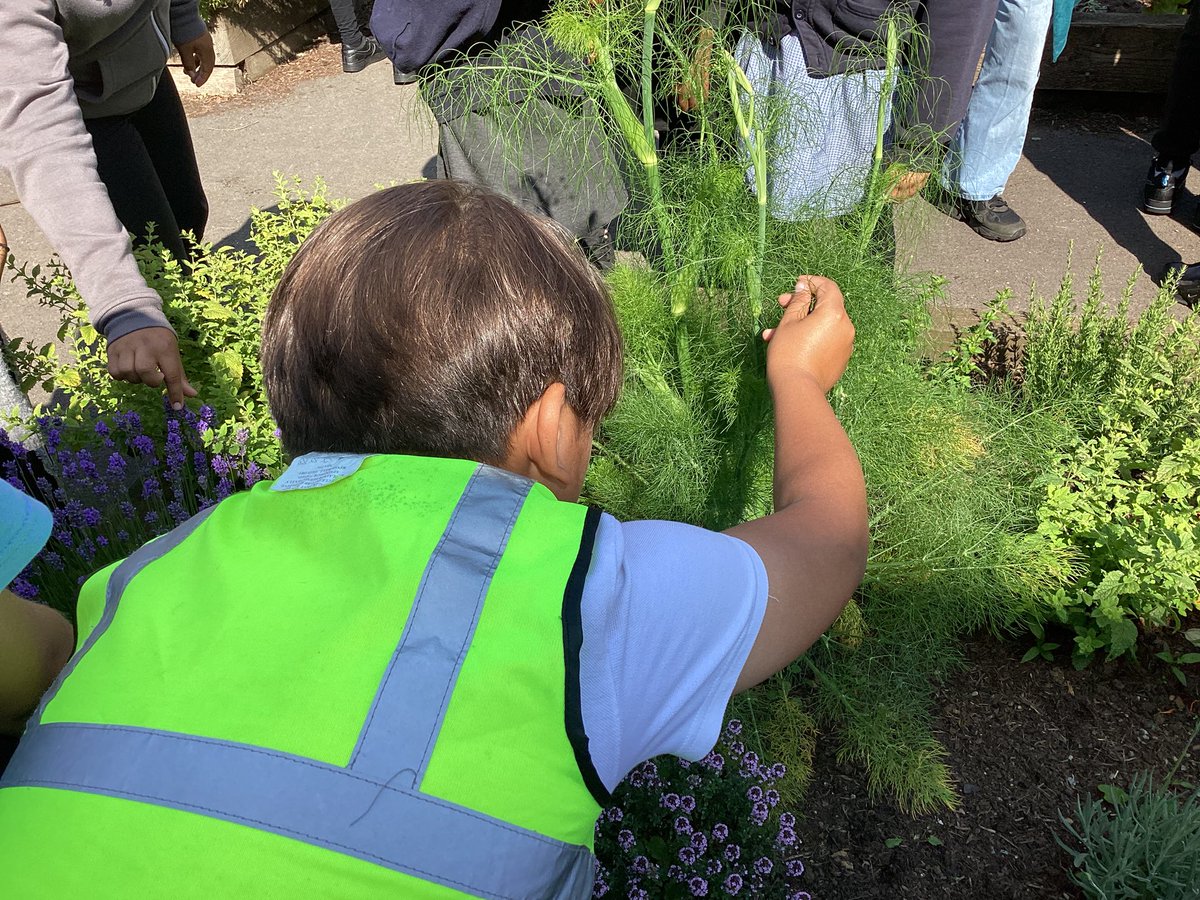 Year 4 and 5 have been working with zero carbon to raise awareness about our carbon footprint. They visited another school to get inspiration on using our very own compost bin. <a href="/Cabotfederation/">Cabot Federation</a>