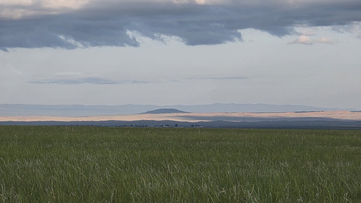 Өглөөний мэнд

Сүүлийн хэдэн жил ногоо ийм сайхан гараагүй. 
Тэртээ харагдах тарлан хайрхан.
