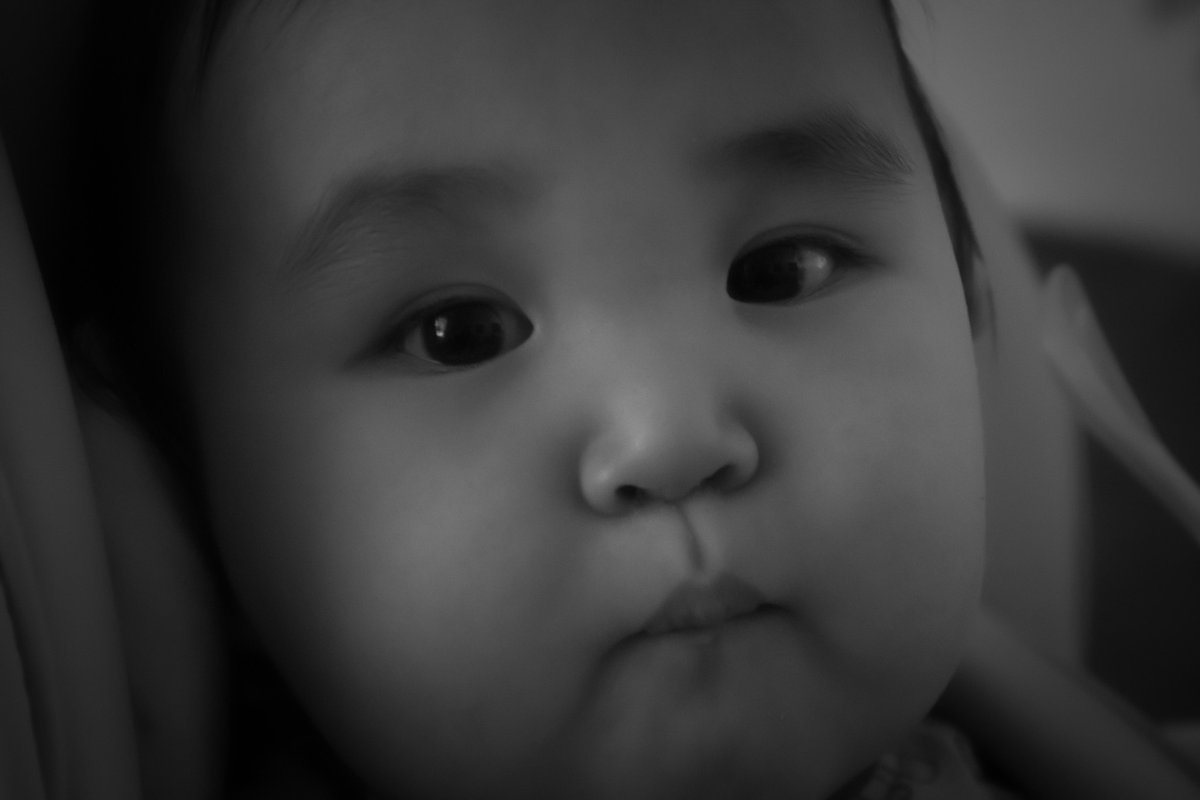 Let’s see those captures that make you say, “Awww!!”😍

#Awww