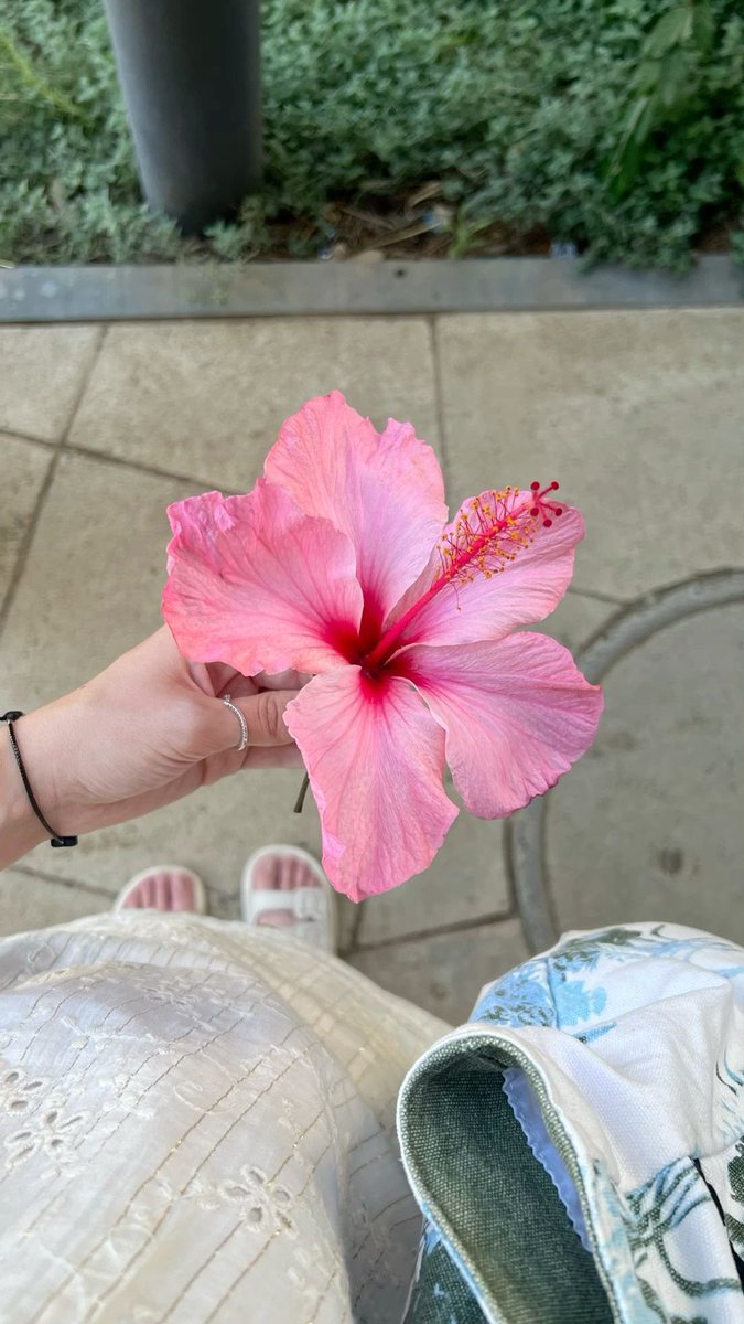 Lucky flower 🌸 Like this for wonderful news tomorrow. 💖