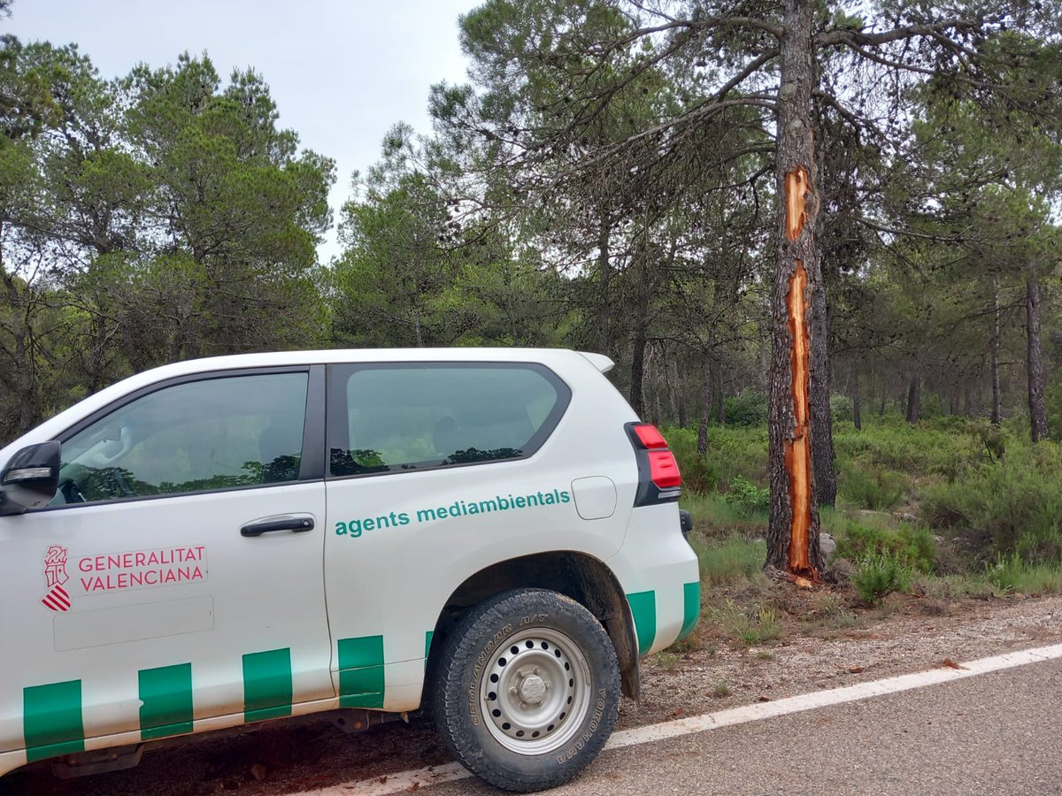 AGENTESCV (@amgva) on Twitter photo Enorme la labor de Los Agentes Medioambientales busca rayos👏👏👏🙋🏻♂️🚔👮🏻♂️
Prevención👏🙋🏻♂️⚡️🔥 real y activa.
De <a href="/GVAMediAmbient/">GVA Medi Ambient Infraestructures Territori</a>
<a href="/generalitat/">Generalitat</a>
<a href="/GVA112/">Emergències 112CV</a>
Enhorabuena Enorme la labor de Los Agentes Medioambientales busca rayos👏👏👏🙋🏻♂️🚔👮🏻♂️
Prevención👏🙋🏻♂️⚡️🔥 real y activa.
De <a href="/GVAMediAmbient/">GVA Medi Ambient Infraestructures Territori</a>
<a href="/generalitat/">Generalitat</a>
<a href="/GVA112/">Emergències 112CV</a>
Enhorabuena