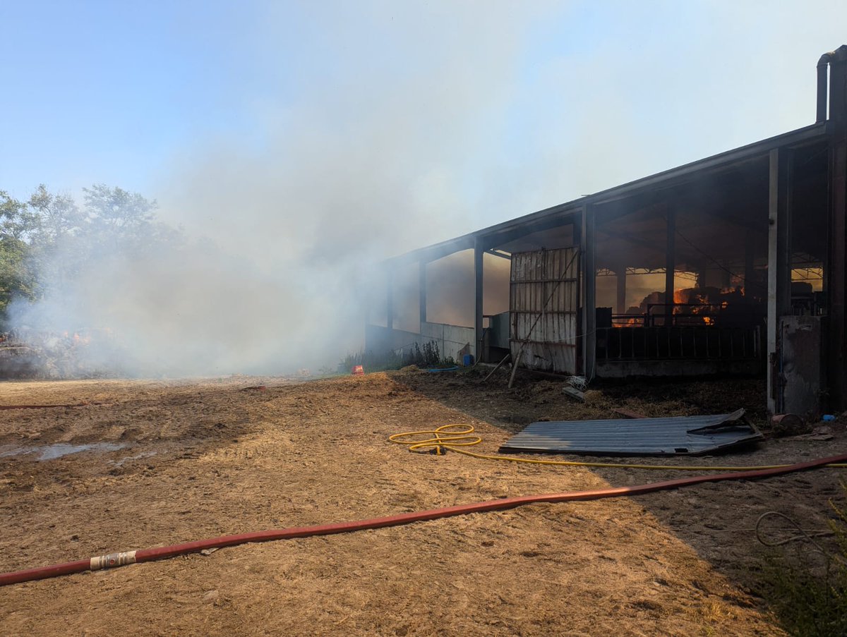 Montgomery Fire and Rescue Station (@montyfirestn) on Twitter photo 19/06/2025 13:08 03P1 mobilised along with <a href="/NewtownFireStn/">Gorsaf Dan Y Drenewydd/Newtown Fire Station</a> <a href="/LlanfairFire/">Llanfair Fire Stn</a> and the water Bowser from <a href="/LlandrindodFS/">Llandrindod Fire Stn</a> to a agricultural fire near Newtown, on route, assistance message sent to make major pumps 6. 19/06/2025 13:08 03P1 mobilised along with <a href="/NewtownFireStn/">Gorsaf Dan Y Drenewydd/Newtown Fire Station</a> <a href="/LlanfairFire/">Llanfair Fire Stn</a> and the water Bowser from <a href="/LlandrindodFS/">Llandrindod Fire Stn</a> to a agricultural fire near Newtown, on route, assistance message sent to make major pumps 6.