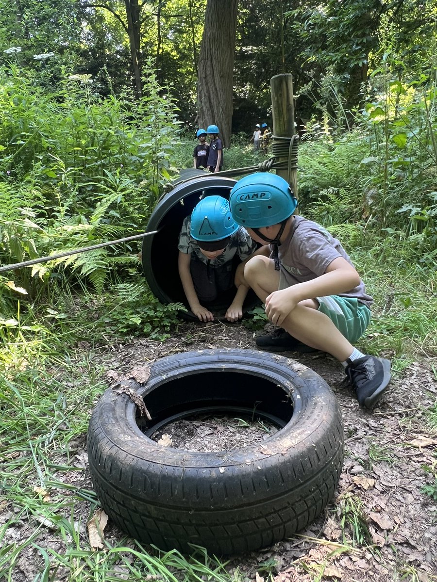 MrsSutton tweet media