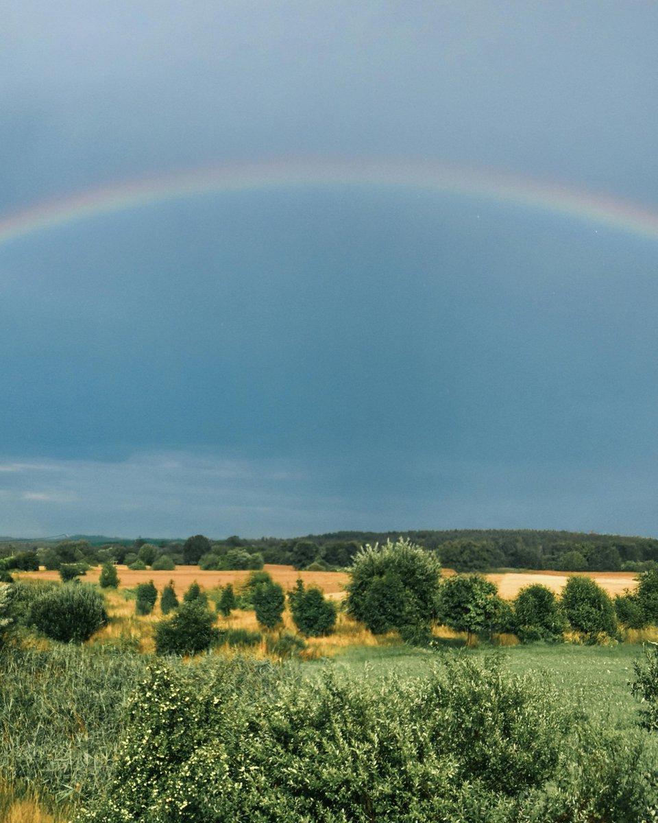 Rain doesn’t just water the surface, it’s part of a larger cycle that fills aquifers, and keeps your well functioning. Understanding the water cycle can help you better manage your private well. ☔

Learn more: wellowner.org/resources/grou…