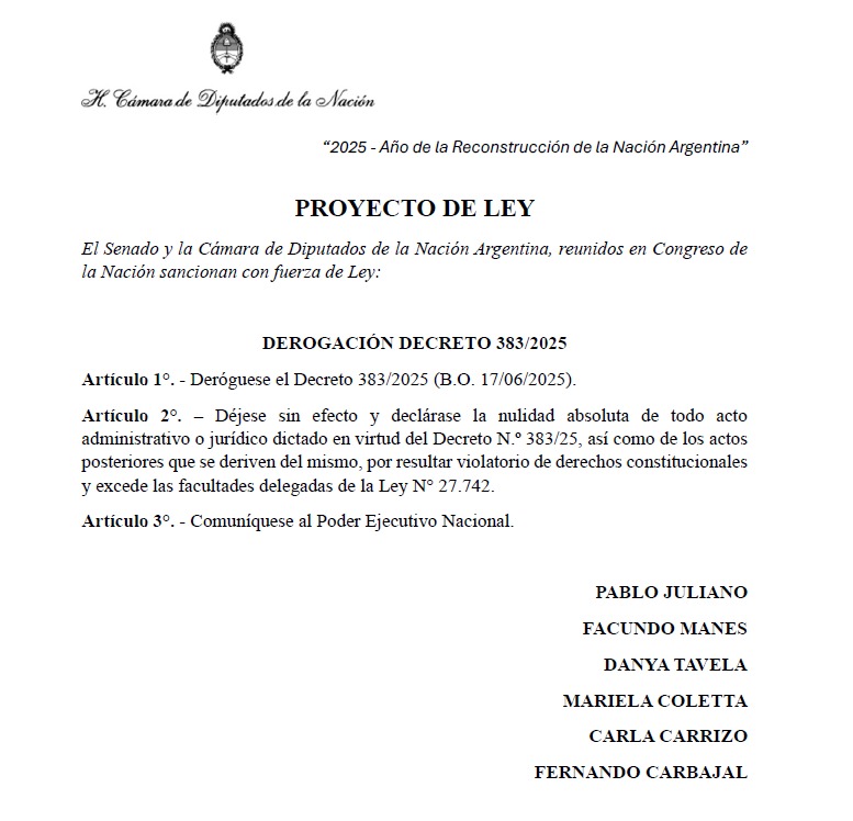 Democracia para Siempre presentó un proyecto de ley para derogar el decreto que reformula las funciones de la Policía Federal

“La norma es inconstitucional”

El decreto de Patricia Bullrich viola derechos constitucionales y además excede las facultades delegadas en la ley Bases.