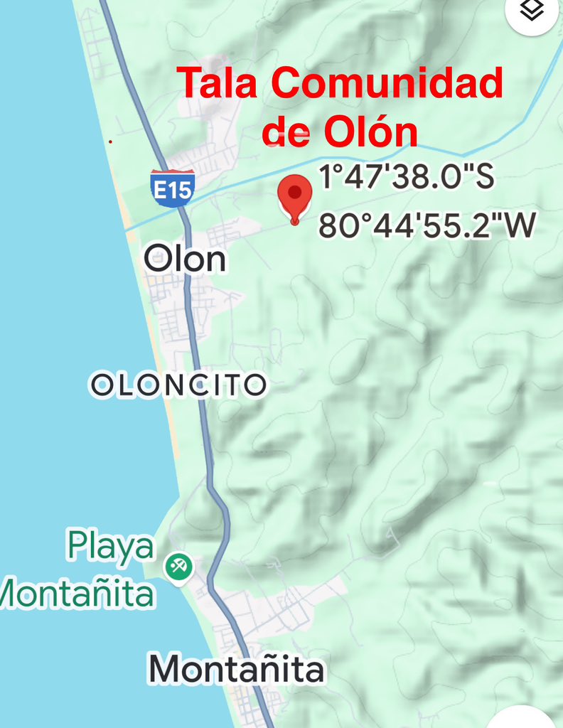 BitacoraEc's tweet image. #Tala #Olon #Samanes #Monos

Decenas de samanes, árboles de por lo menos 60 años, fueron talados para construir canchas de #Padel
La tala se produjo con la “autorización” de la comunidad Olón en la vía San Vicente de Loja. Así lo denuncia @mejoresdiasEC 
Hilo