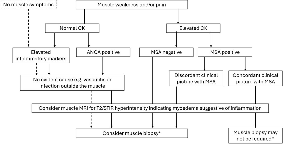 ACR_Journals (@acr_journals) on Twitter photo Muscle biopsies were examined to define phenotypes & features of muscle vasculitis. Patients w/ muscle vasculitis often had normal CK levels, and less weakness compared to IIM. Muscle vasculitis histology often lacked myofiber necrosis/infiltration
ACROR
doi.org/10.1002/acr2.7… Muscle biopsies were examined to define phenotypes & features of muscle vasculitis. Patients w/ muscle vasculitis often had normal CK levels, and less weakness compared to IIM. Muscle vasculitis histology often lacked myofiber necrosis/infiltration
ACROR
doi.org/10.1002/acr2.7…