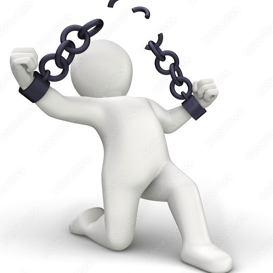 carta 🫥 tweet media