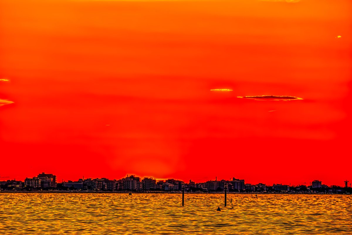 Vivida 🌻 (@vividaphotopc) on Twitter photo 