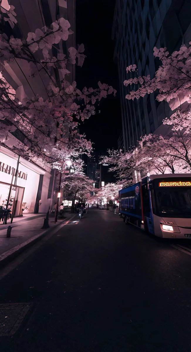 c’est tellement magnifique