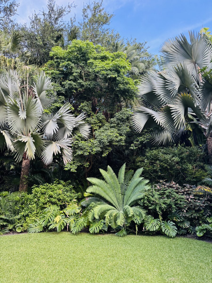 Happy corner in the garden.