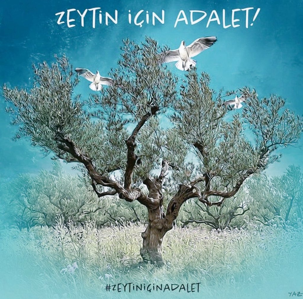 <a href="/Nur_Id95/">Nur</a> #ZeytinimeDokunma 🌿