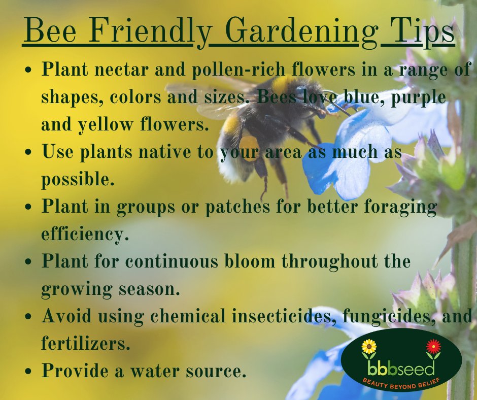 BBB Seed (@bbbseed) on Twitter photo 