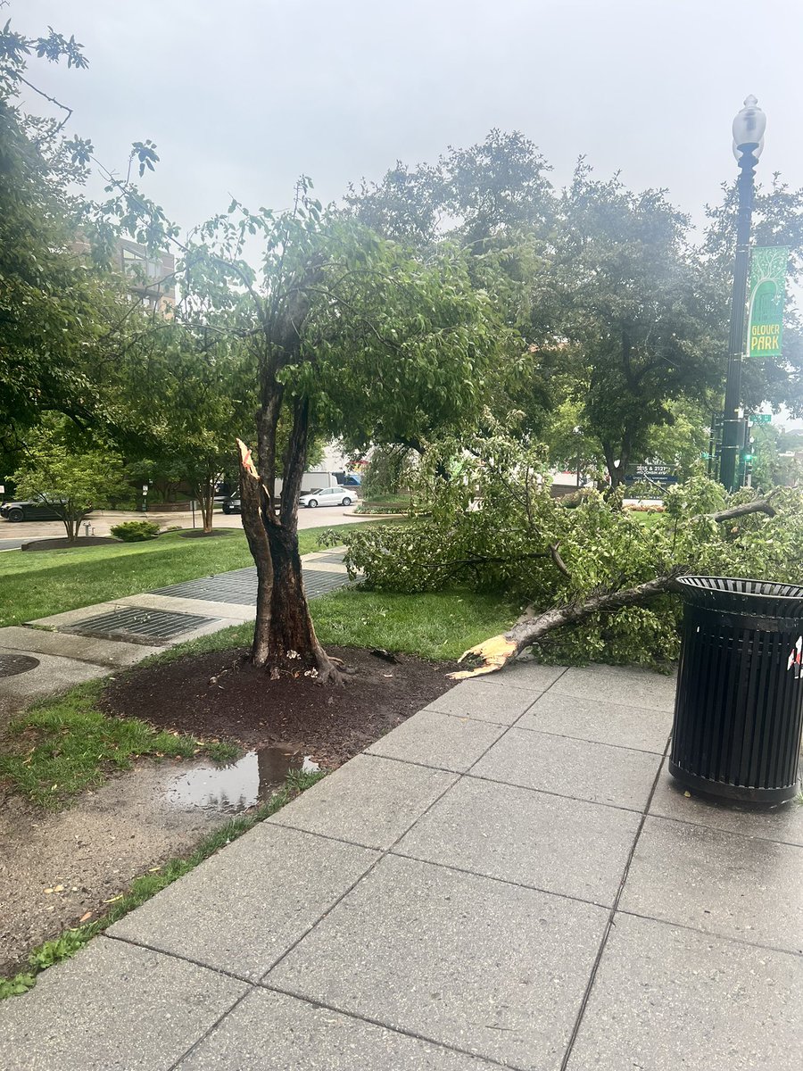 Lightning strikes takes down tree #DCWx
