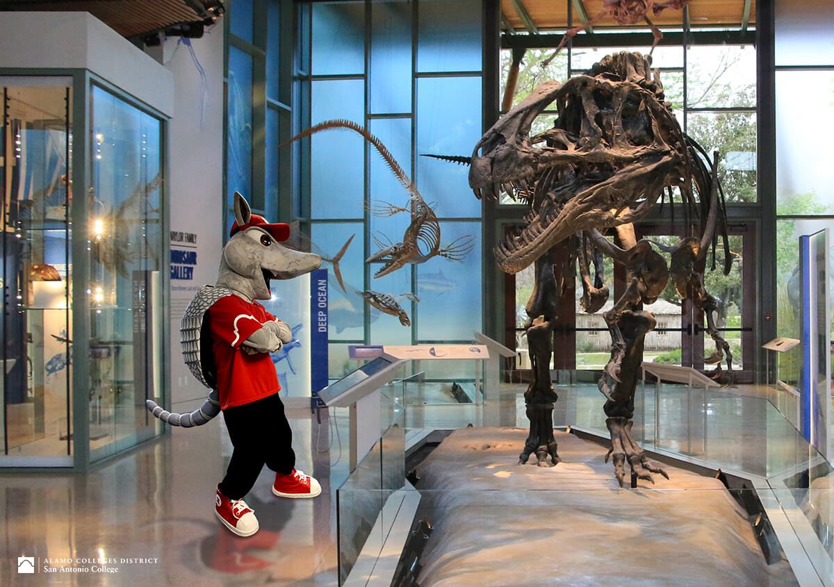 VIA Metro Transit (@via_transit) on Twitter photo Summer plans = solved. ๐จ๐ฆ๐
With <a href="/AlamoColleges1/">Alamo Colleges District</a>'s 3 For Free program, students and employees get free admission to the McNay, SAMA, and the Witte Museum โ just show your Alamo Colleges ID!
Even better? You can #RideVIA to all three for free with your VIA U-PASS through the Summer plans = solved. ๐จ๐ฆ๐
With <a href="/AlamoColleges1/">Alamo Colleges District</a>'s 3 For Free program, students and employees get free admission to the McNay, SAMA, and the Witte Museum โ just show your Alamo Colleges ID!
Even better? You can #RideVIA to all three for free with your VIA U-PASS through the