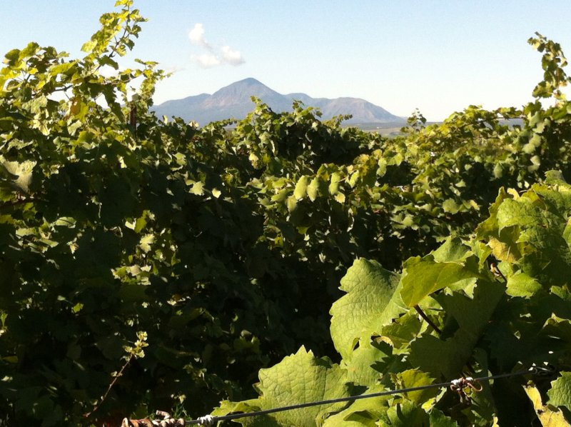 WineReviewOnline.com (@winereviewonlin) on Twitter photo Road Trips Along the Wine Route:
Hit the Highway and Discover New Wines
By <a href="/WayneBeldingMS/">Wayne Belding MS</a>
WineReviewOnline.com/road-trips-alo… #Wine #WineTravel #Wineries Road Trips Along the Wine Route:
Hit the Highway and Discover New Wines
By <a href="/WayneBeldingMS/">Wayne Belding MS</a>
WineReviewOnline.com/road-trips-alo… #Wine #WineTravel #Wineries