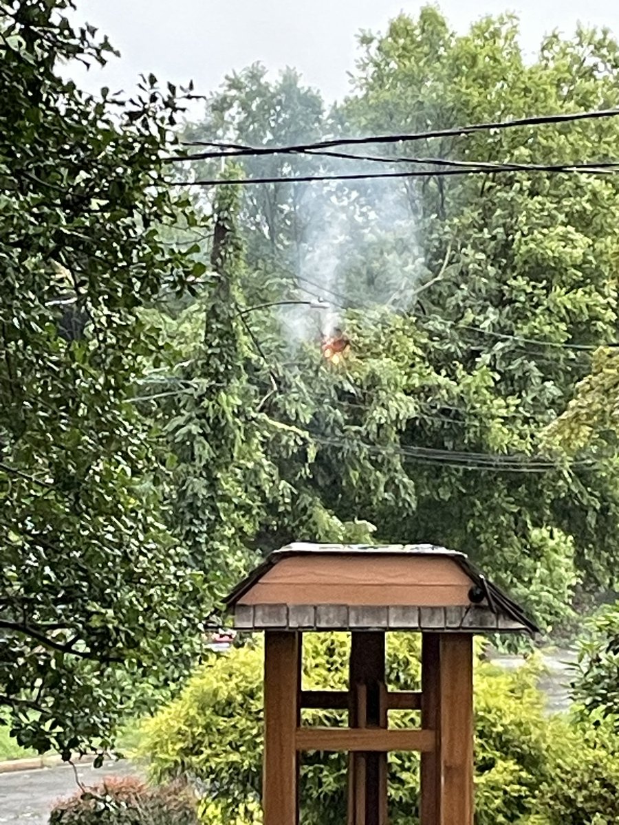 Peter Greenberger tweet media