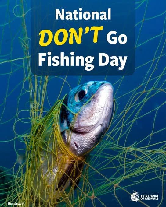 Dervilla(v) (@derviemoo) on Twitter photo 