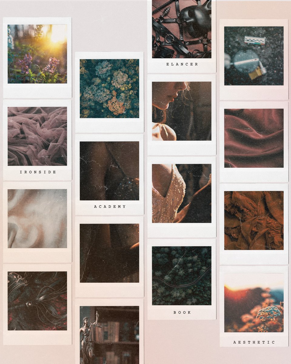 ✕ 𝕖𝕝𝕒𝕟𝕔𝕖𝕣 · 𝕓𝕠𝕠𝕜 𝕒𝕖𝕤𝕥𝕙𝕖𝕥𝕚𝕔 ✕

✪ elancer
✪ ironside academy
✪ book six

𝕡𝕣𝕖𝕠𝕣𝕕𝕖𝕣 𝕟𝕠𝕨: geni.us/Elancer

#bookaesthetic #bookedit #whychooseromance