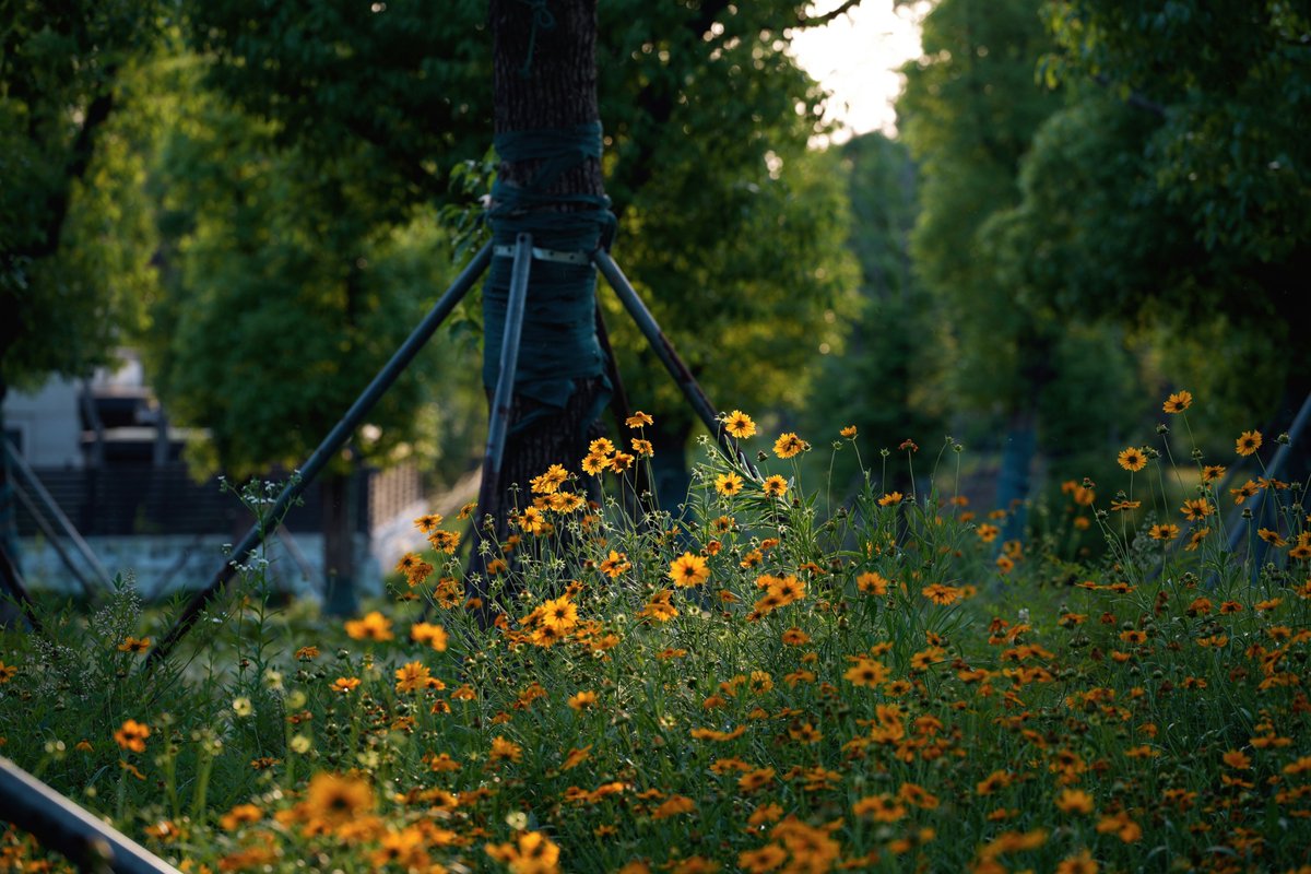 StudyaidJen's tweet image. Dm us for complete academic boost in: Finance 
Economics 
✓Statistics
 Business 
Algebra  
Any one good at 
essays 
who&apos;s good at  
✓pay someone 
pay to do  
assignment 
good at
algebra
statistics
trigonometry
econ
canvas
quizzes
music mastering
PowerPoint
lab report
MS Excel…