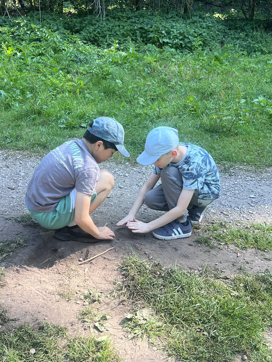 MrsSutton tweet media