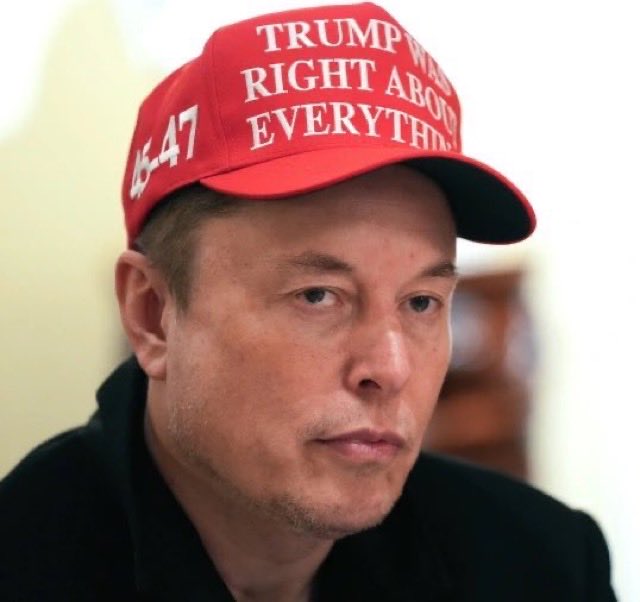 DeplorableAme12's tweet image. @elonmusk #NiceHat ❤️ #MAGA 🇺🇸 👌