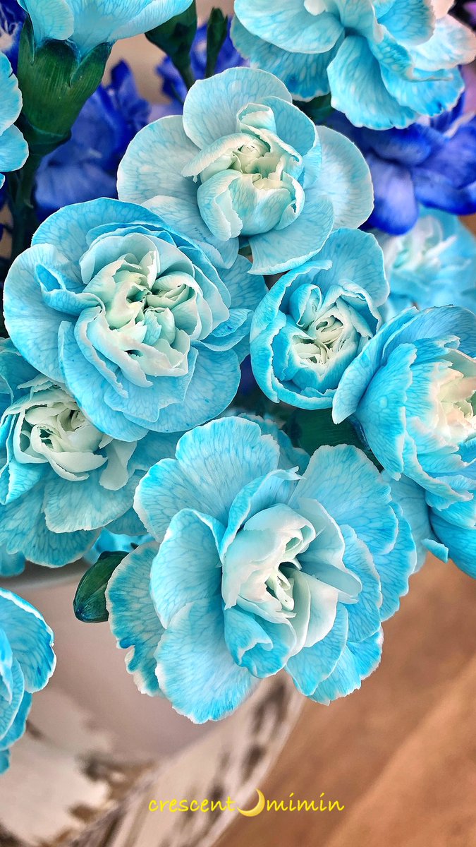 金曜日¨̮♡

おはようございますっ

18°C
もくもく、蒸し蒸し⋯
晴れ時々曇りの予報です。

#空と花とおやつで繋がりたい 

最高気温は29°C

今日も良い日にしちゃいましょ〜