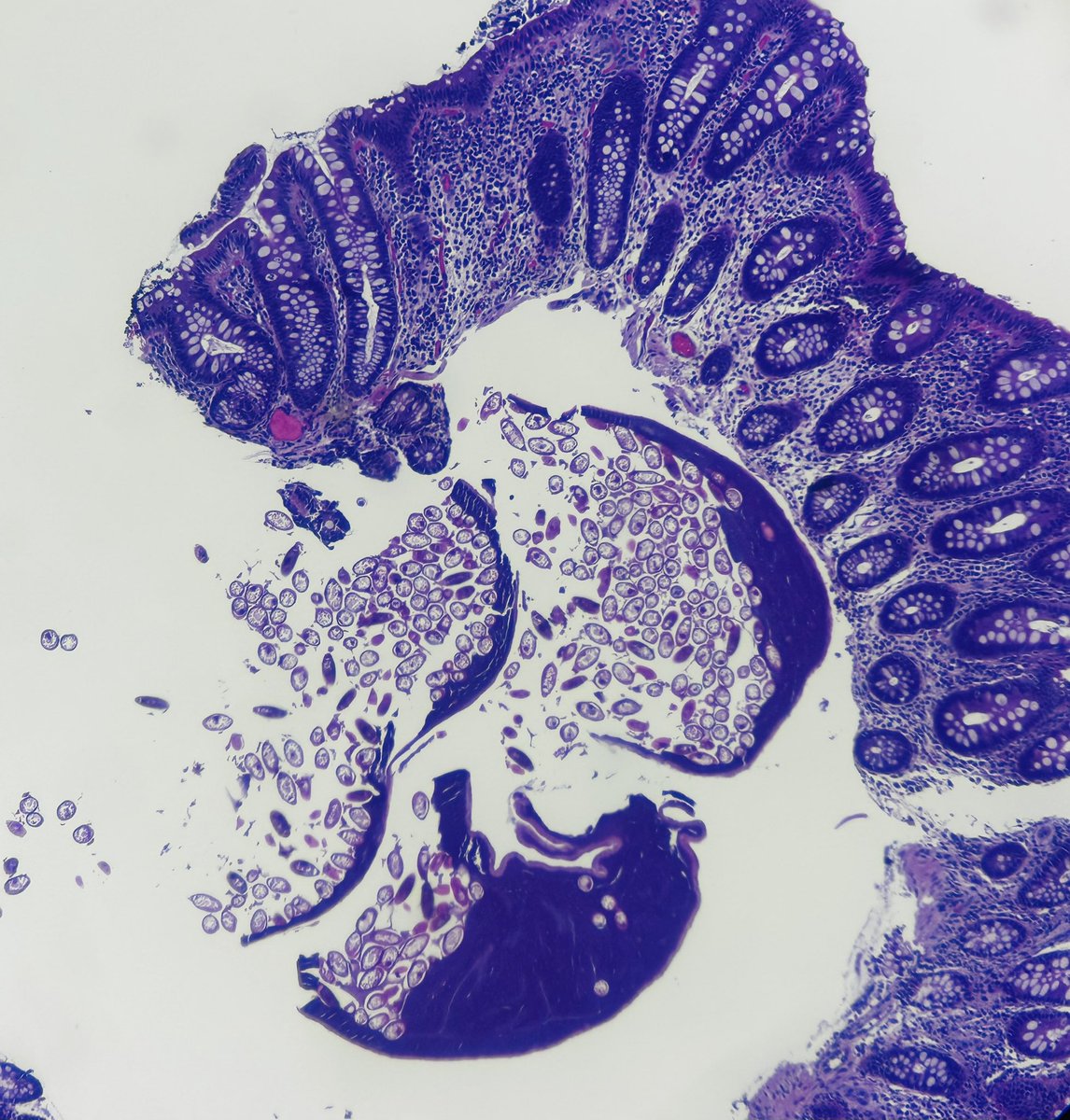 Sebastian Cruz Barbosa tweet media