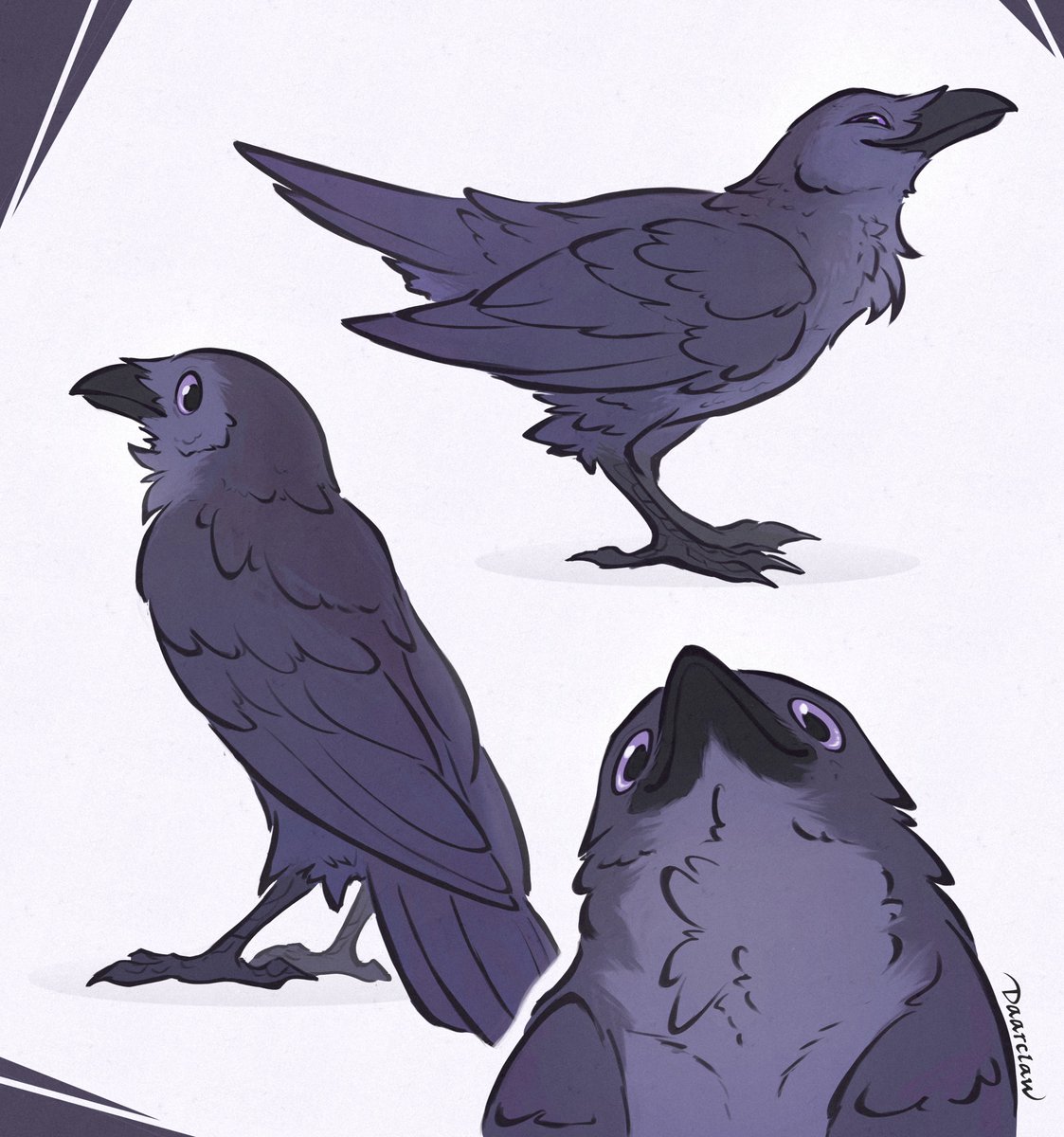 daarclaw's tweet image. 3 pieces to get to know me 🪶