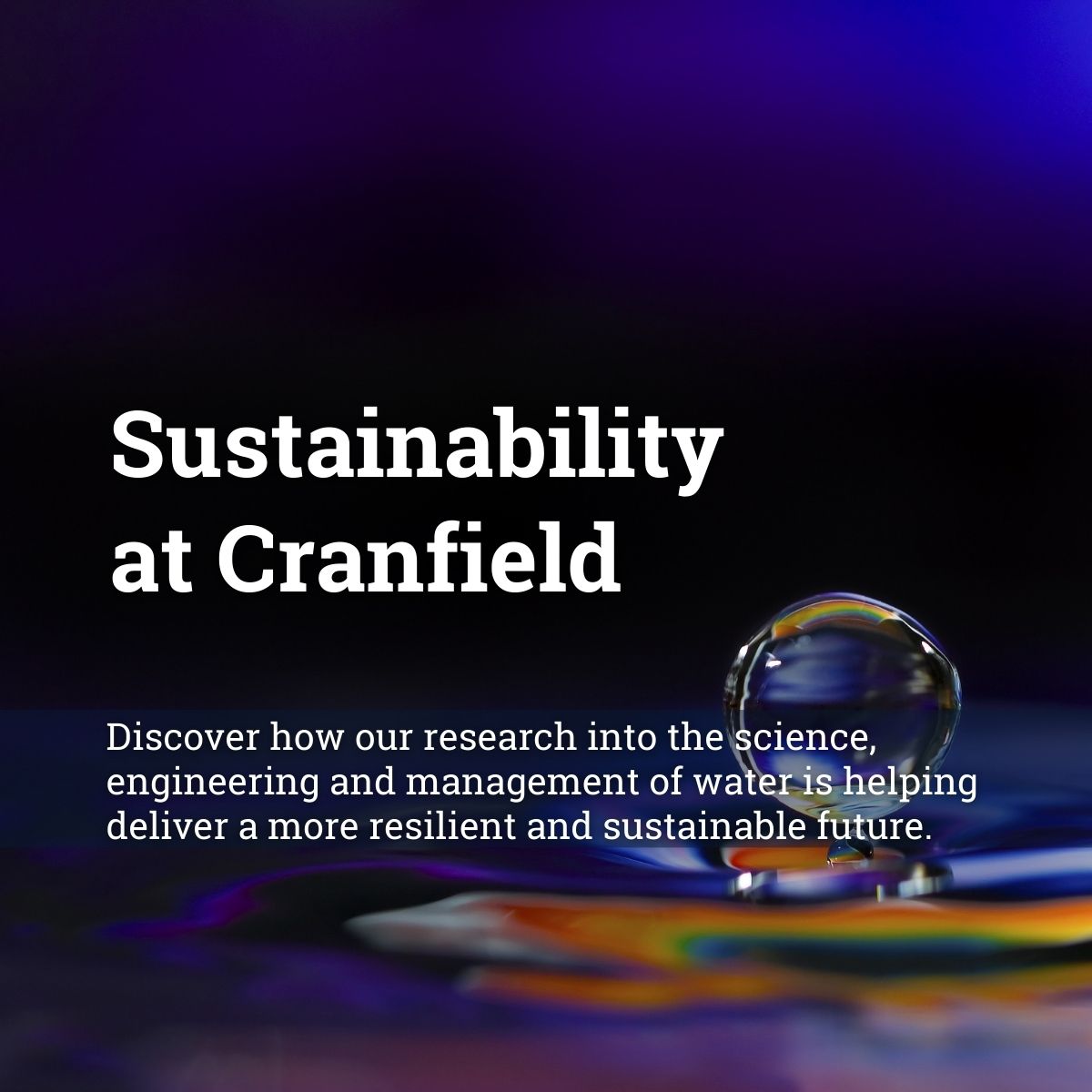 Cranfield Water (@cranfieldwater) on Twitter photo Learn more about how we’re utilising our research to develop innovative sustainable solutions to help the water industry combat the challenges they’re facing to achieve a better future for all. #SustainabilityAtCranfield
Find out more: bit.ly/3lpmRZx Learn more about how we’re utilising our research to develop innovative sustainable solutions to help the water industry combat the challenges they’re facing to achieve a better future for all. #SustainabilityAtCranfield
Find out more: bit.ly/3lpmRZx