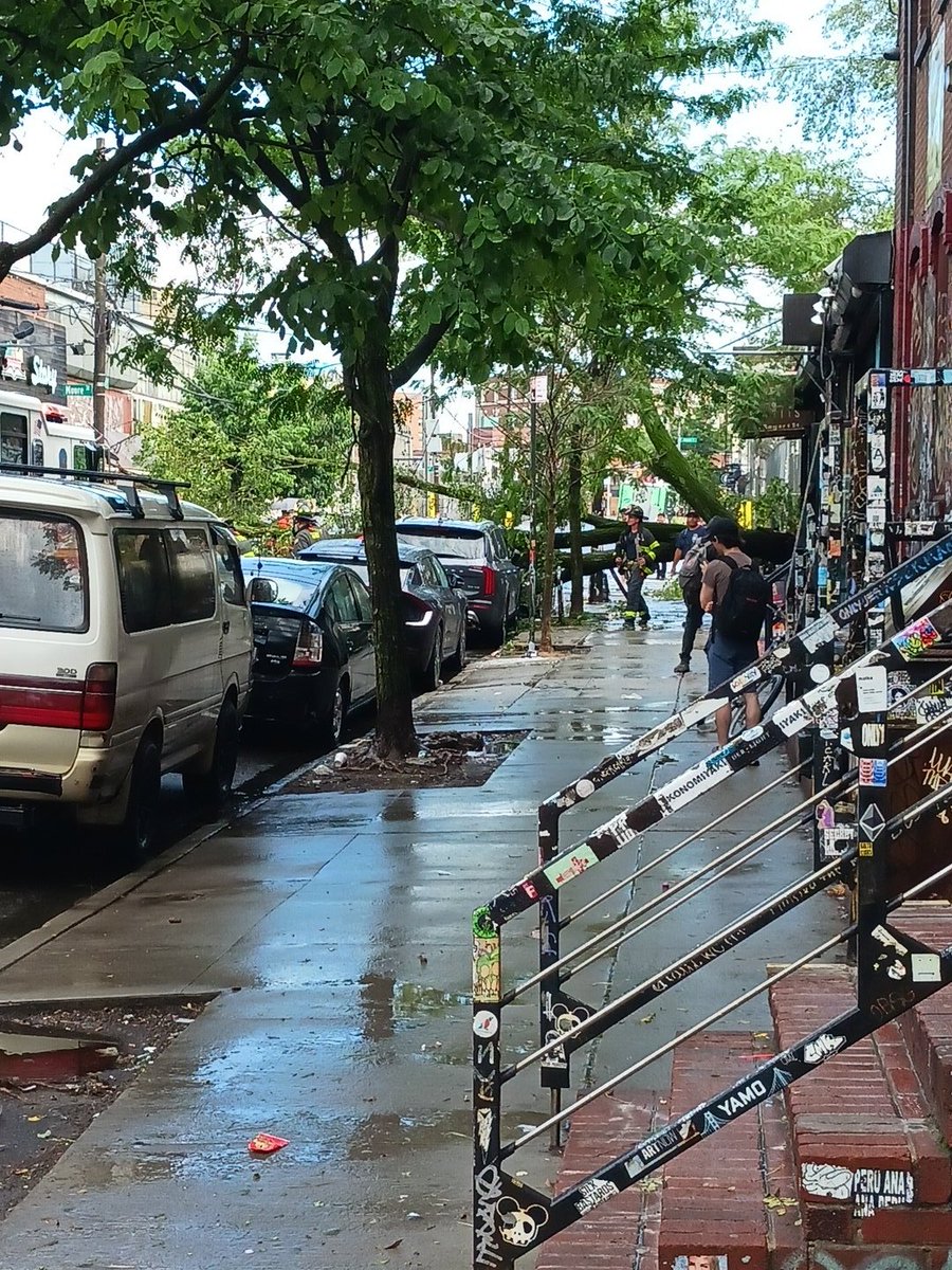 Just had a storm here that couldn't have lasted more than ten minutes. But still managed to take out a pretty big tree at the end of the street.