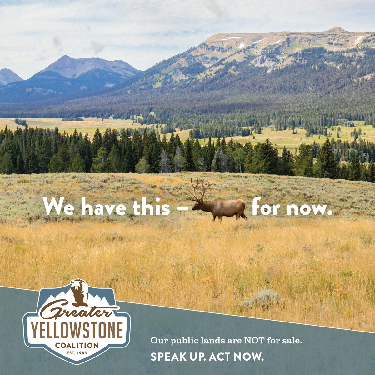 Lawmakers are pushing to sell millions of acres across 11 states. Speak up now to keep these lands public and protected: lovegyc.org/publiclands