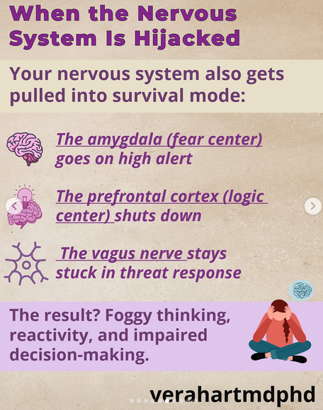 NarcissistBox's tweet image. #survivalmode #vagusnerve #prefrontalcortex #amygdala #bodycheck #fear #ThursdayThought