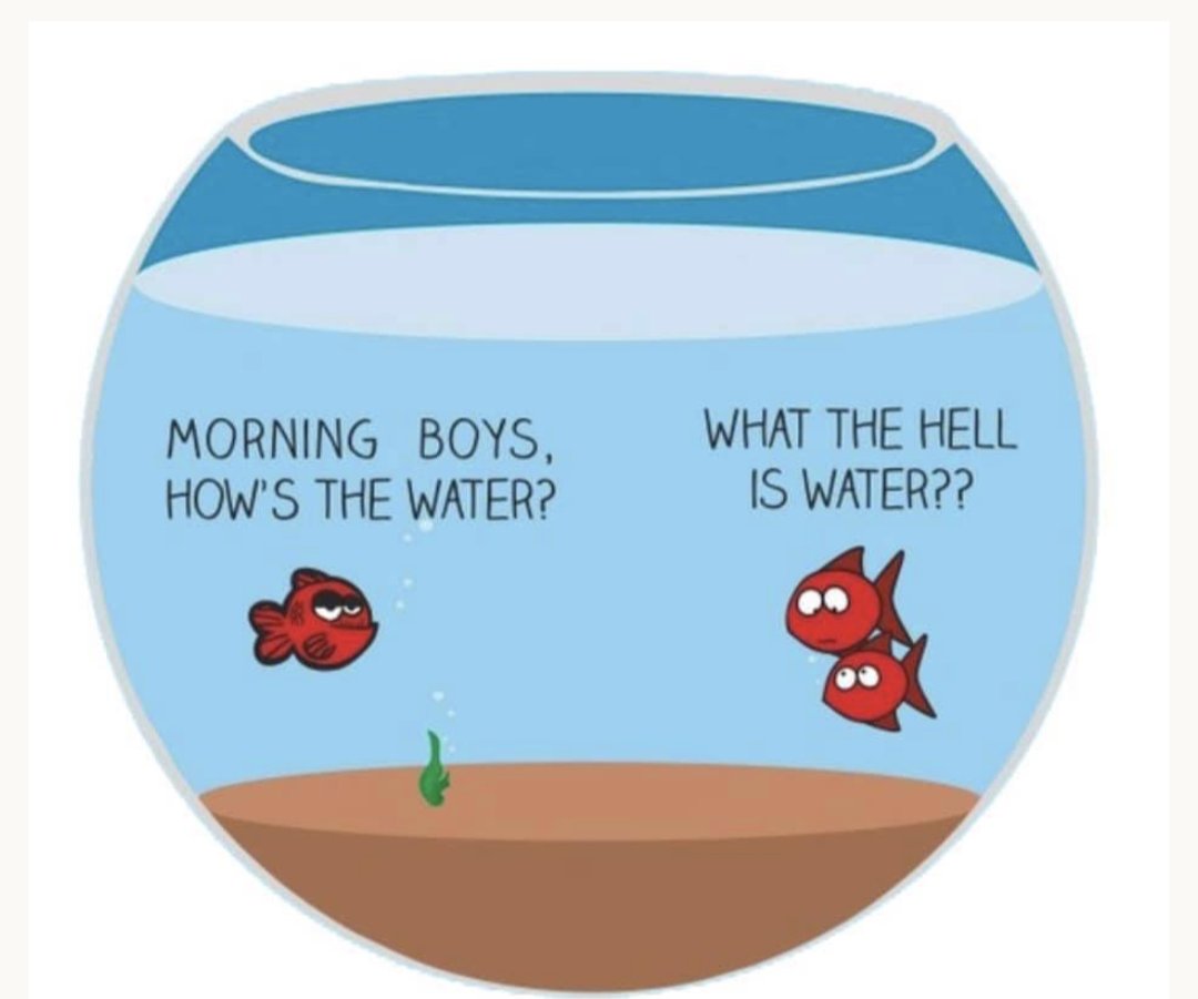 Apparently this joke was too obscure or too veiled. 

I was referring to the pictured meme. Explanation in quoted tweet.

x.com/KetoCarnivore/…