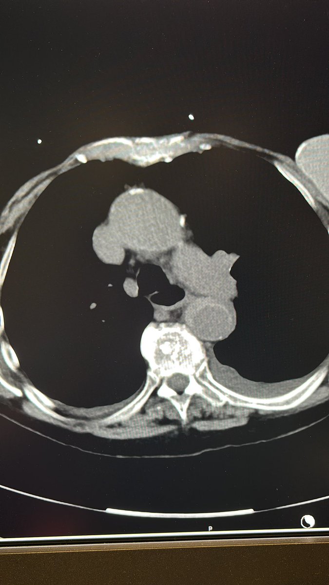 Whitney Shofner Michalsky, MD tweet media