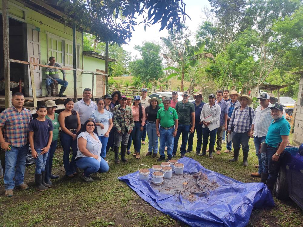 En el marco del #ProyectoNDTPanamá se capacitaron a 46 personas entre productores, productoras, jóvenes y funcionarios técnicos en prácticas de Ganadería Climáticamente Inteligente, contribuyendo a la sostenibilidad de la actividad ganadera y su adaptación al cambio climático.